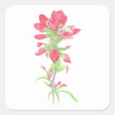 Search for indian stickers Watercolor