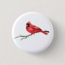 Search for bird buttons red