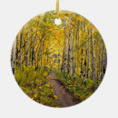 Search for mountain bike ornaments Colorado