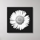 Search for black and white floral canvas prints Beautiful