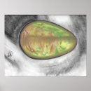 Search for healthy food posters Vegetable
