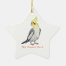 Search for cockatiel ornaments Parrots