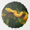 Search for reptile balloons Wildlife
