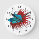 Search for betta fish art Siamese fighting fish
