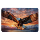 Search for american magnets Eagle
