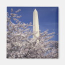 Search for washington dc magnets Bloom
