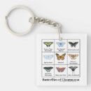 Search for butterfly keychains Nature