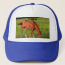 Search for horse hats Red