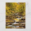 Search for great smoky mountains national park postcards Ann collins