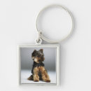 Search for yorkie keychains Sitting