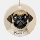 Search for pug ornaments Tree