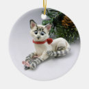 Search for grey kitten ornaments Siamese