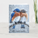 Search for bluebird cards Birds