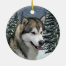 Search for alaskan malamute ornaments Xmas