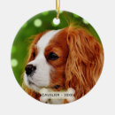 Search for cavalier king charles spaniel ornaments Pet