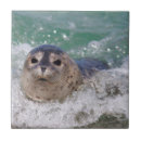 Search for surfing tiles Cute