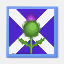 Search for scottish thistle gifts Flag