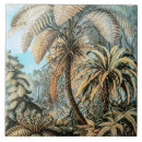 Search for fern tiles Botanical