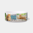 Search for cat feeding supplies Kitty