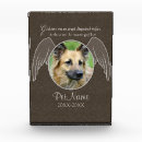 Search for dog with angel wings Dogs