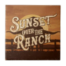 Search for western tiles Texas
