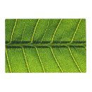 Search for green leaf placemats Photography