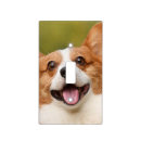 Search for dog light switch covers Pets