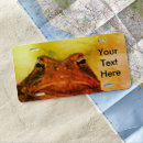 Search for frog license plates Cool