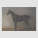 Search for horse tissue paper Equine