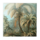 Search for fern tiles Nature