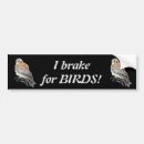 Search for bird bumper stickers Watercolor