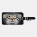 Search for pallas cat Feline