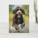 Search for portuguese water dog cards Dogs