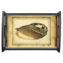 Search for seashell serving trays Nature