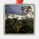 Search for africa ornaments Tree
