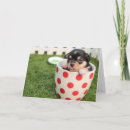 Search for teacup cards Retro