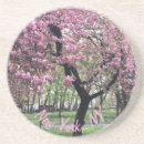 Search for cherry blossom coasters Tree