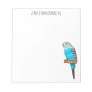 Search for bird notepads Budgerigar