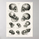 Search for monkey posters Vintage