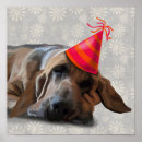 Search for party posters Flowers