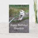 Search for goldendoodle birthday cards Cute