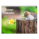 Search for bengal cat calendars 2026