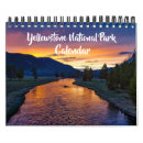 Search for bison calendars Yellowstone