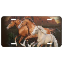 Search for alaska license plates Wildlife