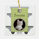 Search for cat in frame ornaments Dogs