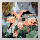 Search for flamingo posters Vintage