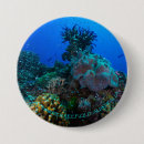 Search for scuba diving gifts Tropical fish