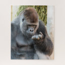 Search for gorilla puzzles Cute