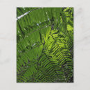 Search for vietnam postcards Nature