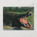 Search for florida gators cards Alligator